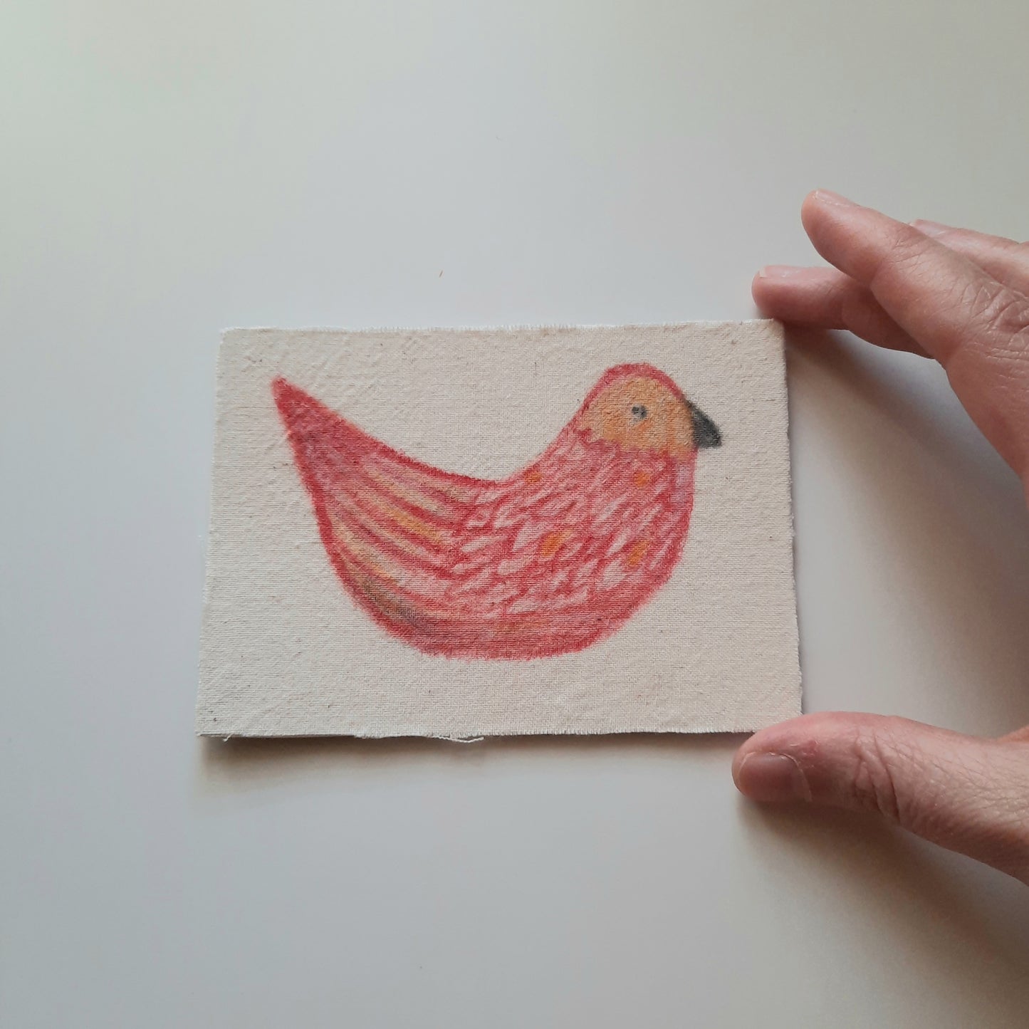 bird