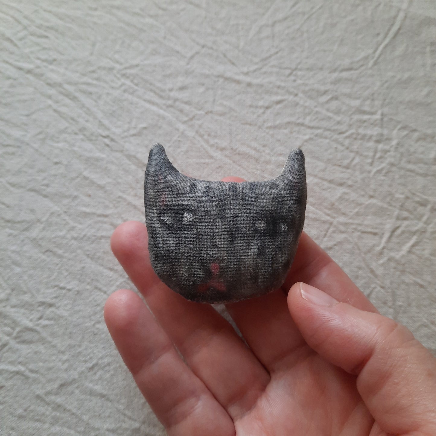 cat companion