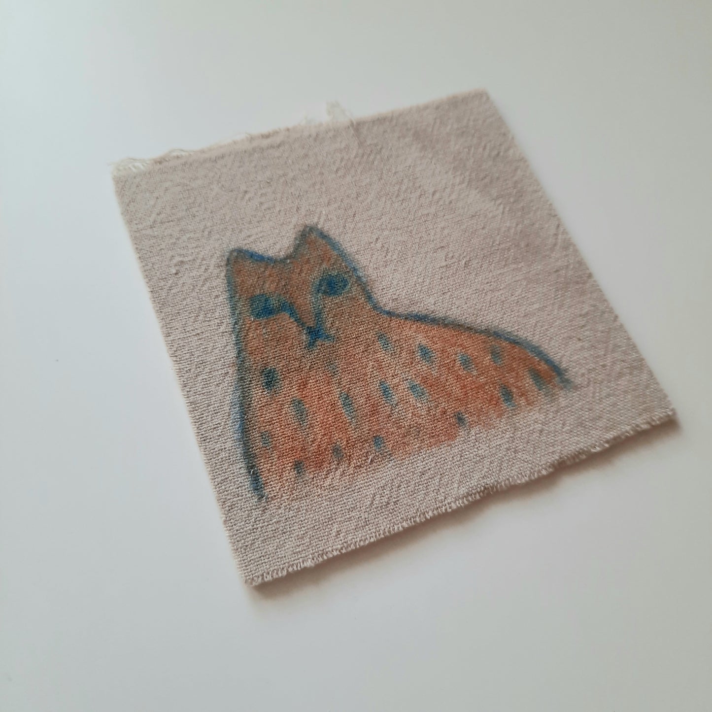 ginger cat