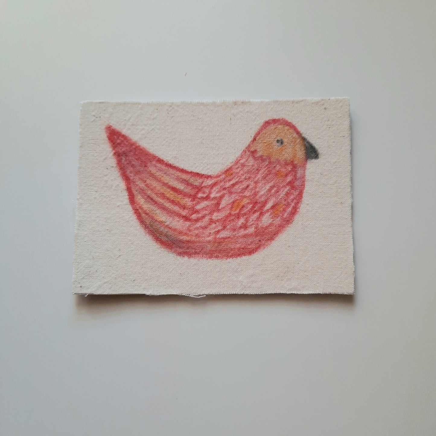 bird