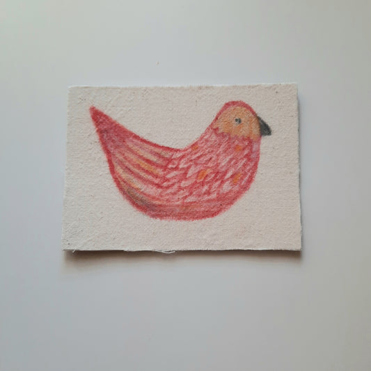 bird