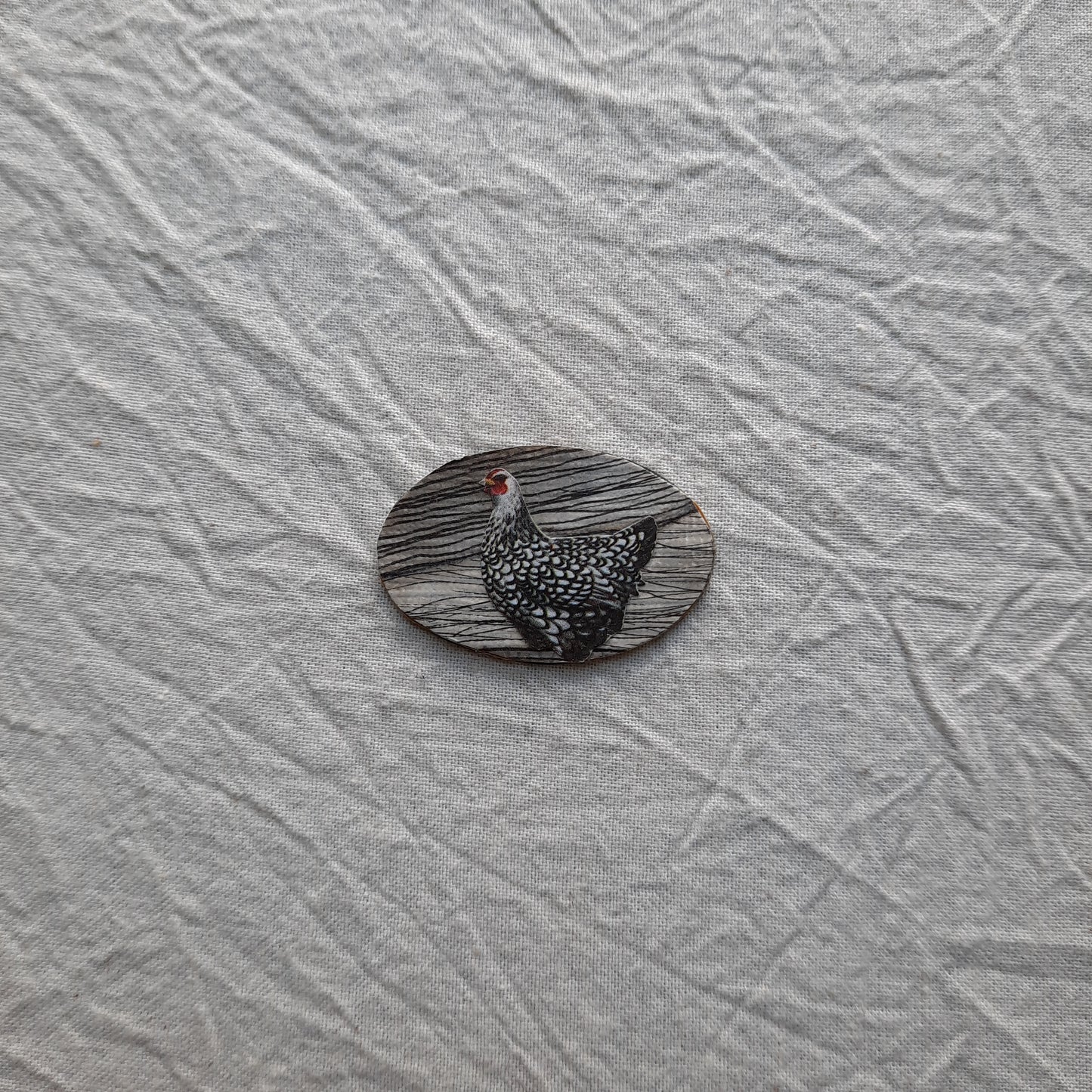 feathered friend